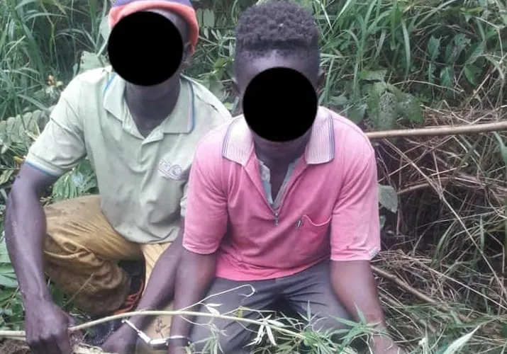 Côte d’Ivoire : 2 Burkinabés arrêtés pour culture de cannabis