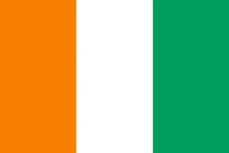 Article 7 de la Constitution ivoirienne 2016