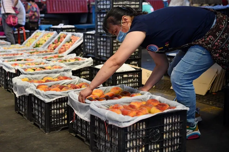 (COVID-19) Chine : 27 nouveaux cas confirmés sur la partie continentale – Actualités 04/08/2020