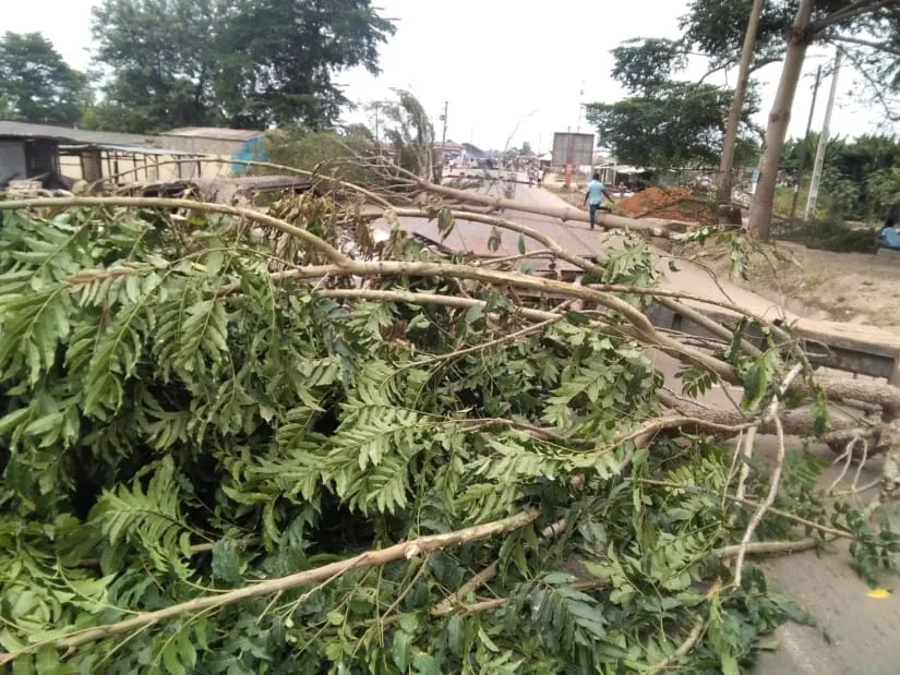 Manifestations de l’opposition : des barricades érigées à N’Douci