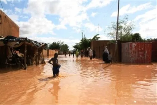 Pluie diluvienne au Niger : 20 morts et 53.000 sinistrés