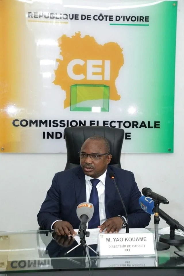 Des résultats provisoires supprimés sur le site de la CEI