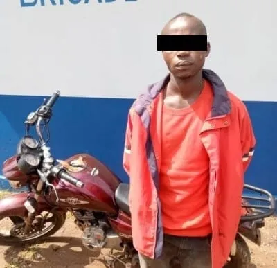 Vavoua : il est appréhendé en pleine vente d’une moto volée