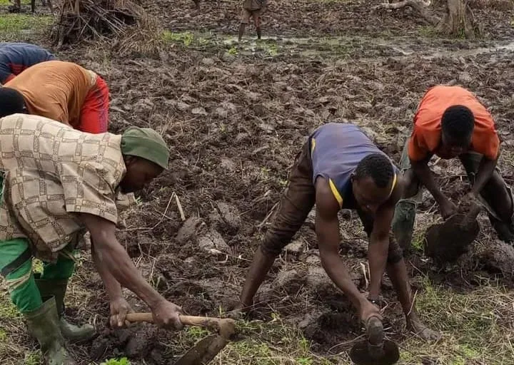Oumé: La FENASCOVICI en soutien aux jeunes producteurs de maraîchers