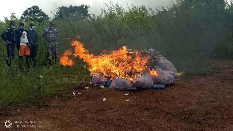 Bondoukou : 500 Kg de drogues et faux médicaments incinérés