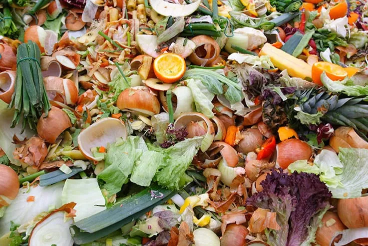 Célébration de la première édition de la Journée internationale de sensibilisation aux gaspillages alimentaires