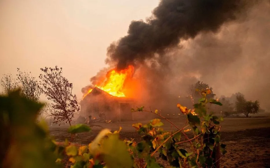 Incendie en Californie : les feux de forêt font 26 morts