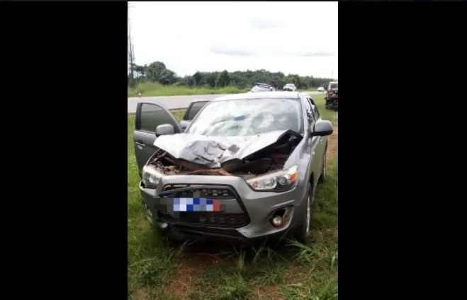 Accident sur l’autoroute du nord : un malade mental percuté par un véhicule