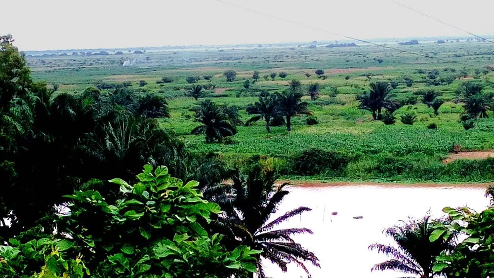 Bénin : l’UNESCO inscrit à son réseau la réserve de biosphère de la Basse vallée de l’Ouémé
