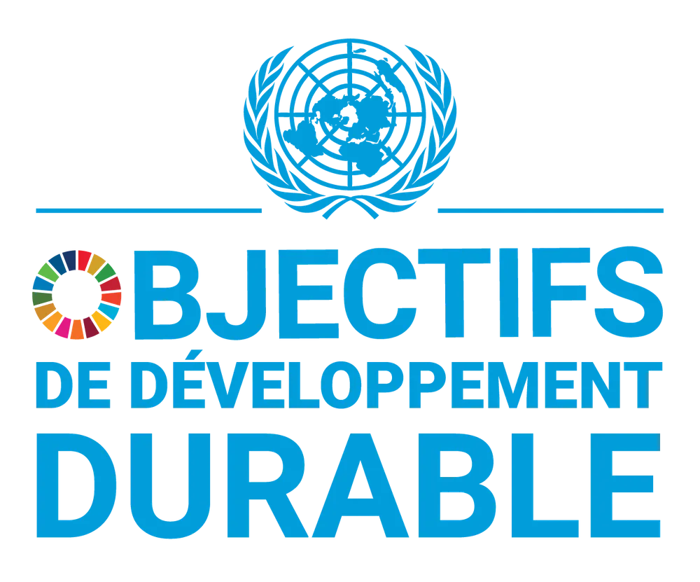 L’ONU lance un projet conjoint de financement des ODD au Ghana