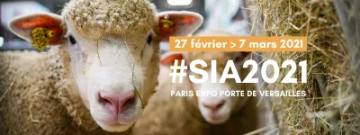 Salon de l’agriculture à Paris : l’édition 2021 annulée