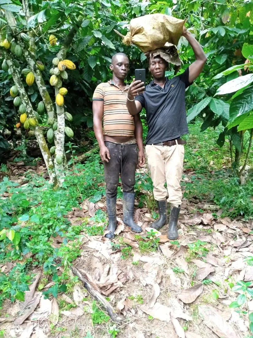 Des planteurs de cacao de Touleupleu appellent à un climat de apaisé – Actualité ivoirienne 20/10/2020