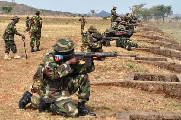 Opérations militaires au Nigeria : 7 trafiquants tués