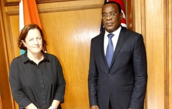 Election présidentielle ivoirienne : Affi lance l’offensive diplomatique