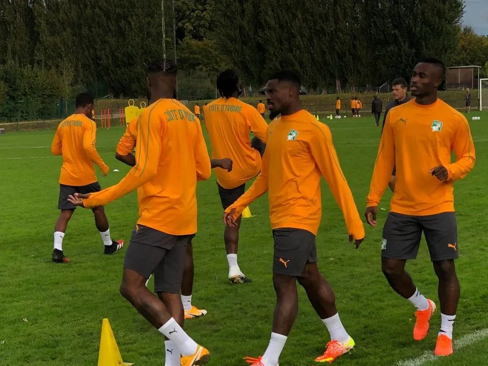 Match amical : le Japon bat la Côte d’Ivoire (1-0)