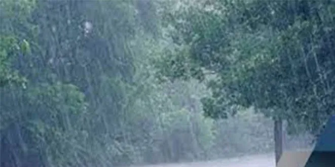 Alerte Météo : risques d’averses de pluie sur le Sud-forestier de la Côte d’Ivoire