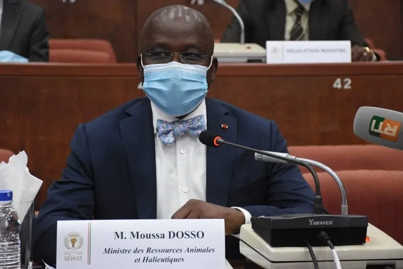 Côte d’Ivoire : le Senat adopte un code de la santé vétérinaire pour protéger les populations et les animaux
