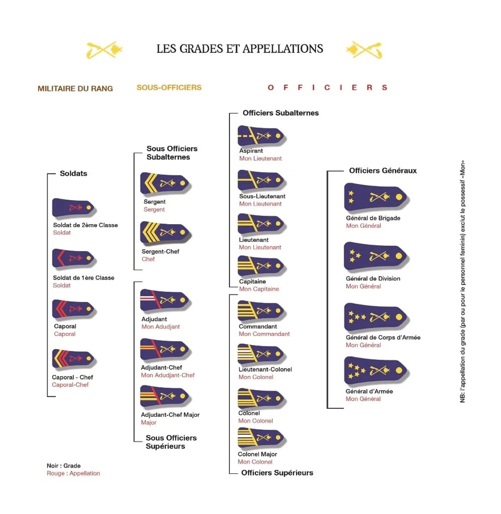 Armée de l’air, Armée de terre, Marine nationale: voici la liste des grades de l’armée ivoirienne