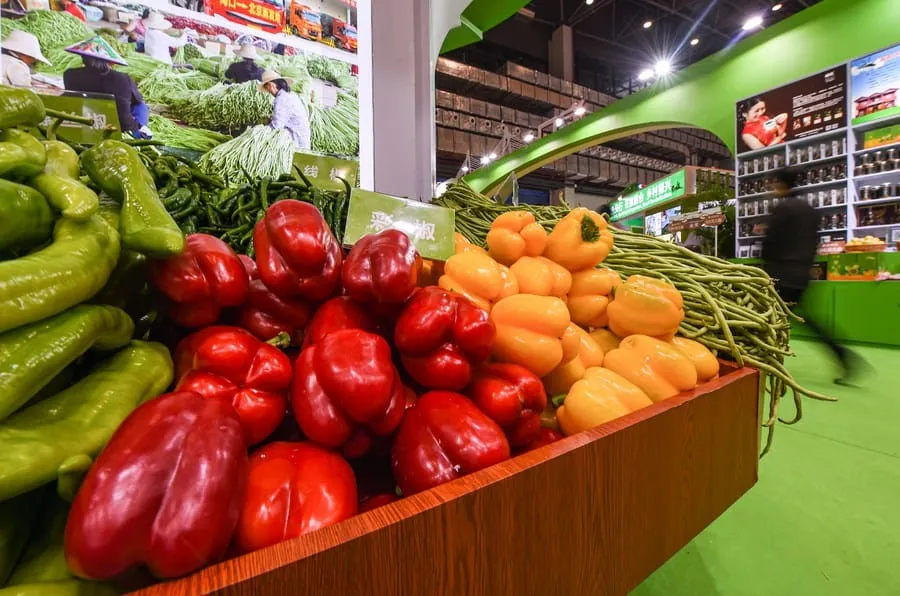 Chine : salon des produits agricoles et agroalimentaires tropicaux à Hainan – Actualités 19/12/2020