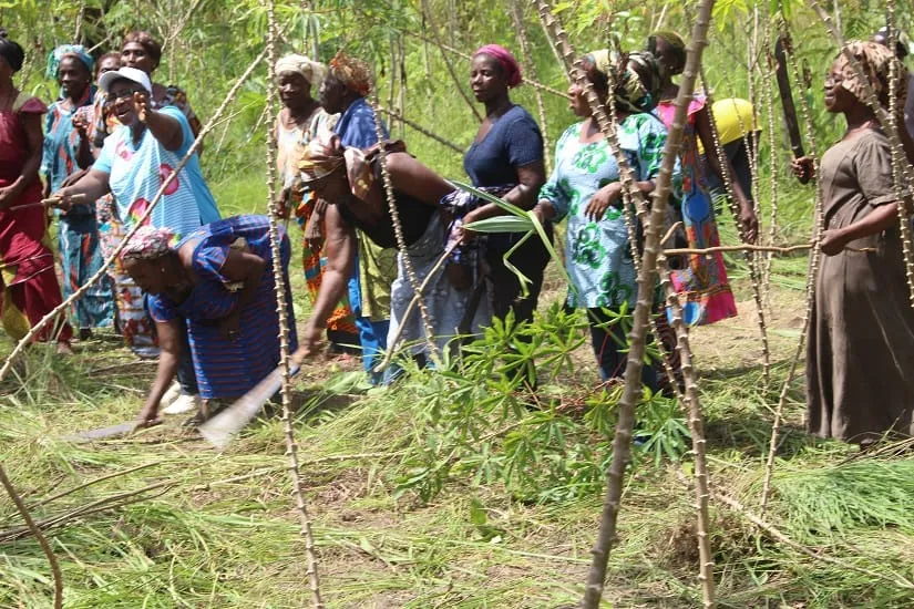 OIF: la Côte d’Ivoire parmi une vingtaine de pays sélectionnés pour soutenir des projets en faveur des femmes – Actualité ivoirienne 04/12/2020
