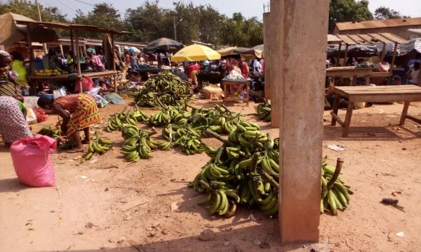 Des sous-préfectures de Bocanda et Kouassi-Kouassikro  bientôt dotées de plateformes de collecte et de distribution de produits agricoles – Actualité ivoirienne 24/12/2020