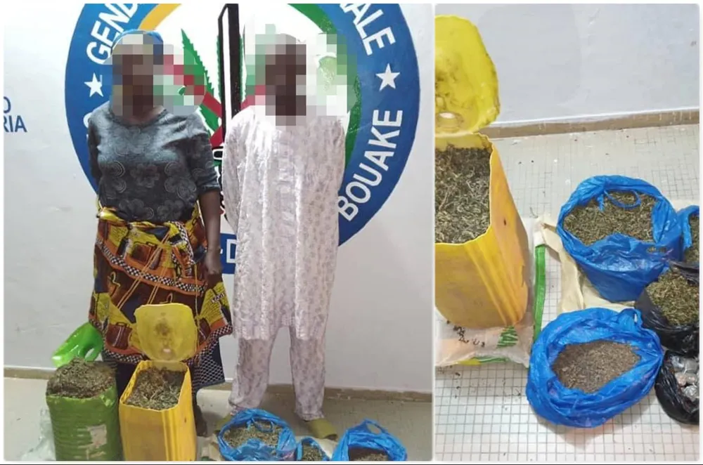 Katiola : un couple de trafiquants de drogue arrêté à Fronan