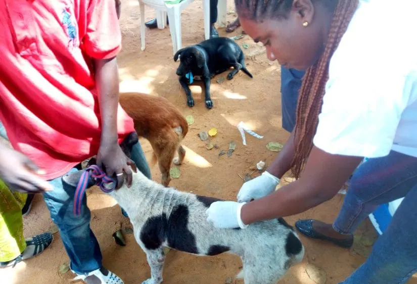 Agboville Campagne Rage