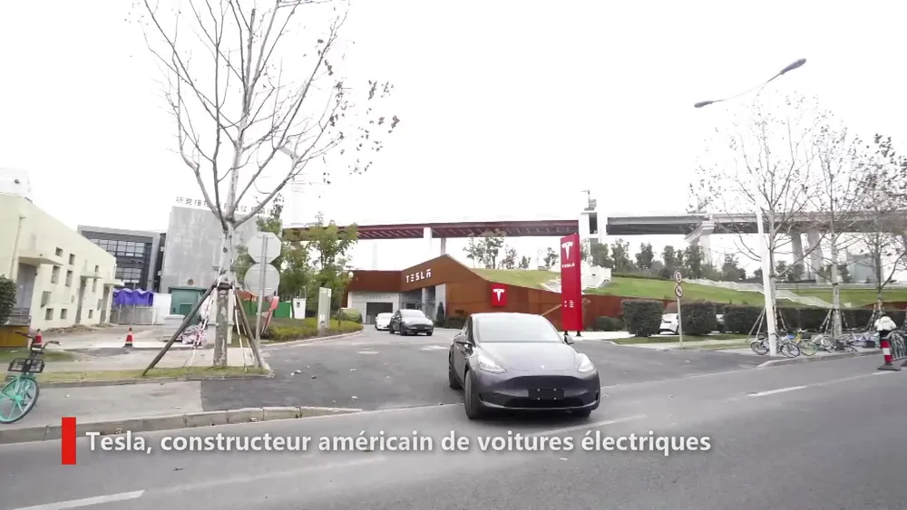 Livraison des Tesla Model Y fabriqués en Chine – Actualités 19/01/2021
