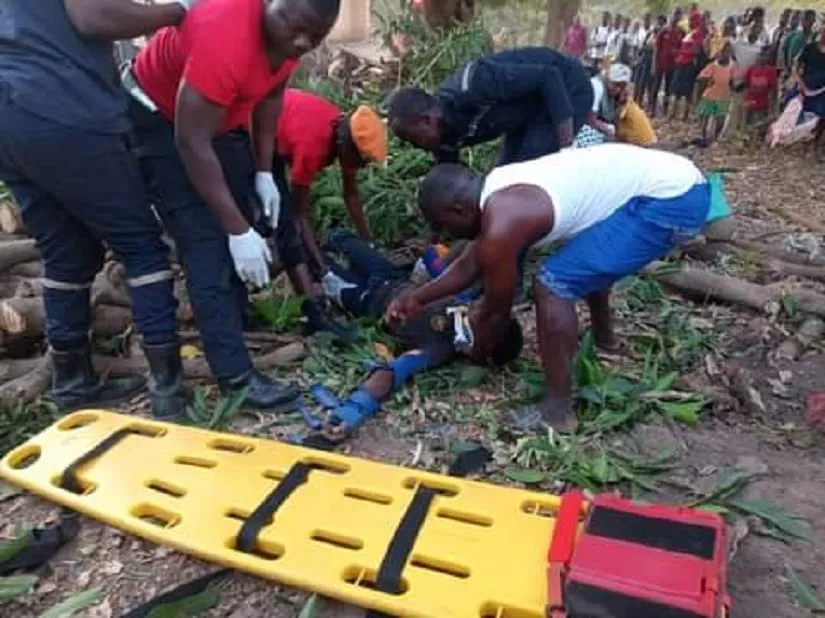 Un élève se fracture les poignets en tombant d’un manguier à Séguéla – Actualité ivoirienne 28/01/2021