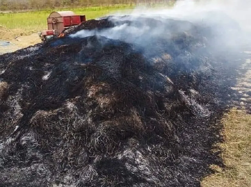 M’Bahiakro : un bouvier aux arrêts à  pour avoir mis le feu à des tonnes de riz récolté