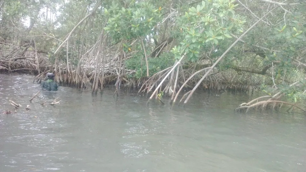 Difficile navigation sur la lagune Tagba à Grand-Lahou – Actualité ivoirienne 15/02/2021