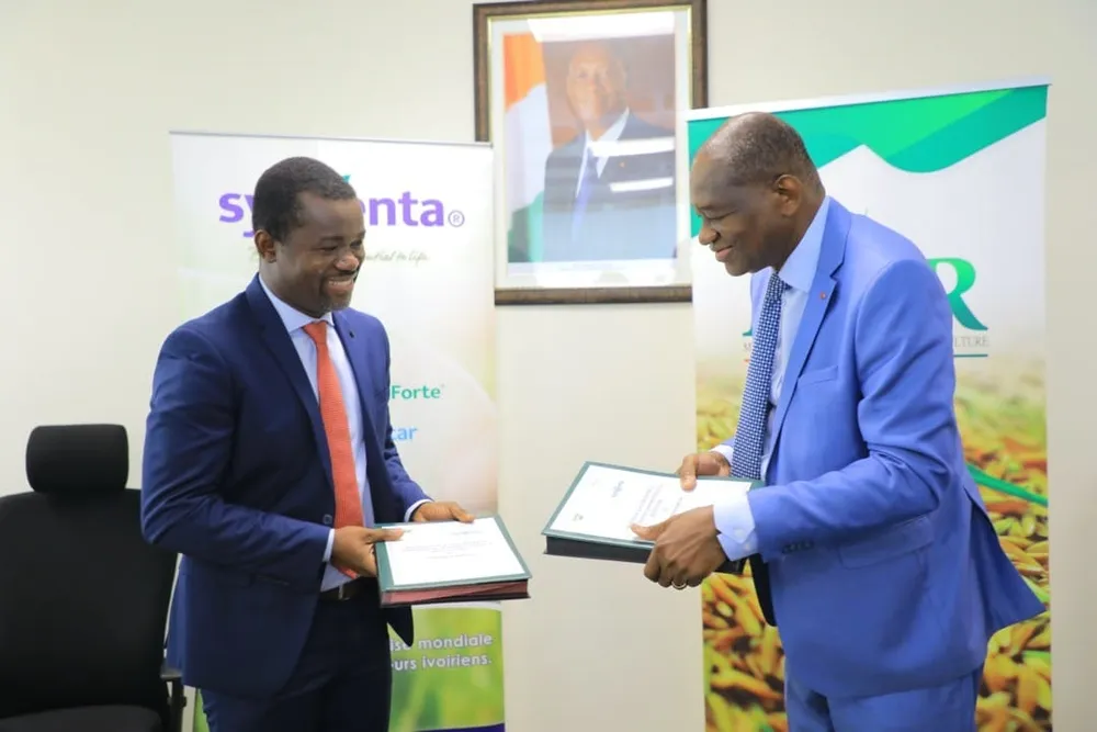 SYNGENTA s’engage aux côtés du ministère pour la promotion de la riziculture – Actualité ivoirienne 19/02/2021