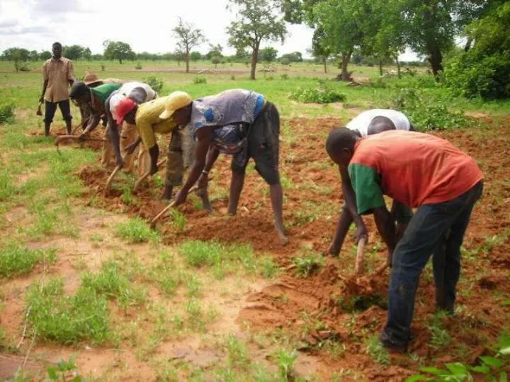 Les agripreneurs invités à soumettre leurs projets jusqu’au 31 mars pour le concours du prix Pierre Castel 2021 (Communiqué) – Actualité ivoirienne 05/03/2021