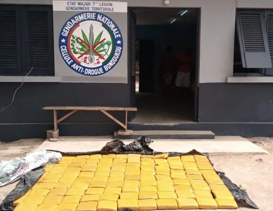 119 kg de cannabis saisis par la Gendarmerie de Bondoukou