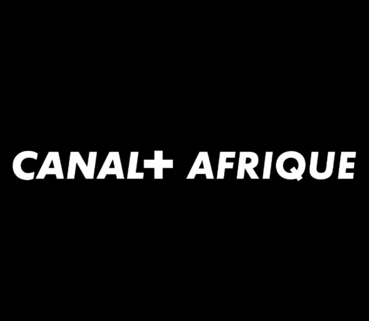 Perturbation Canal+ Afrique ce 03 juillet : Voici les raisons