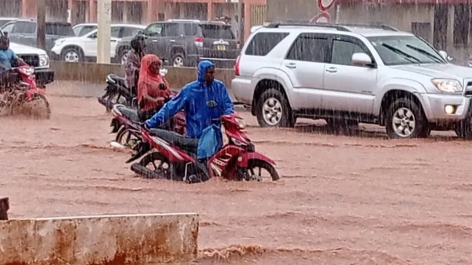 Pluie diluvienne -