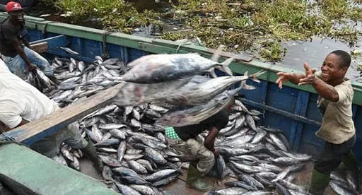 Interdiction de pêche en Côte d’Ivoire dès le 1er juillet 2026