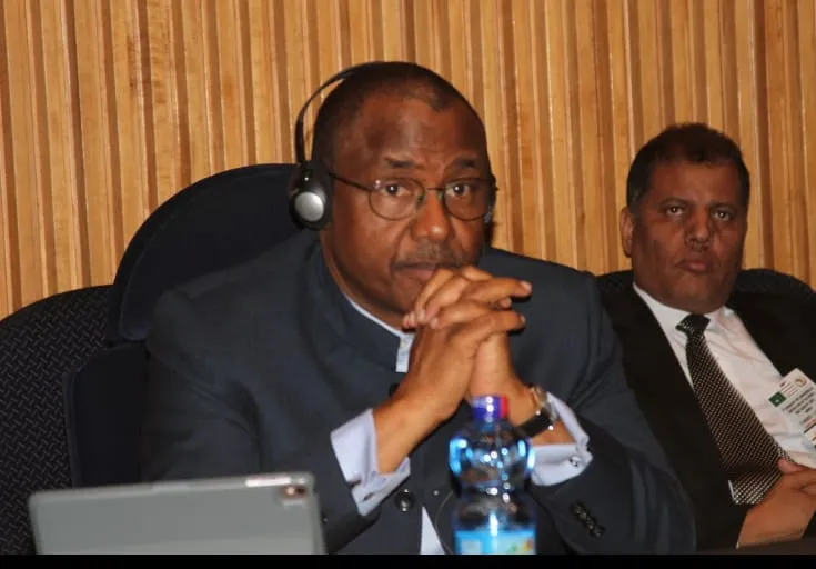 Qui est Mohamed Béavogui le nouveau Premier ministre de Guinée ? : ce qu’on sait