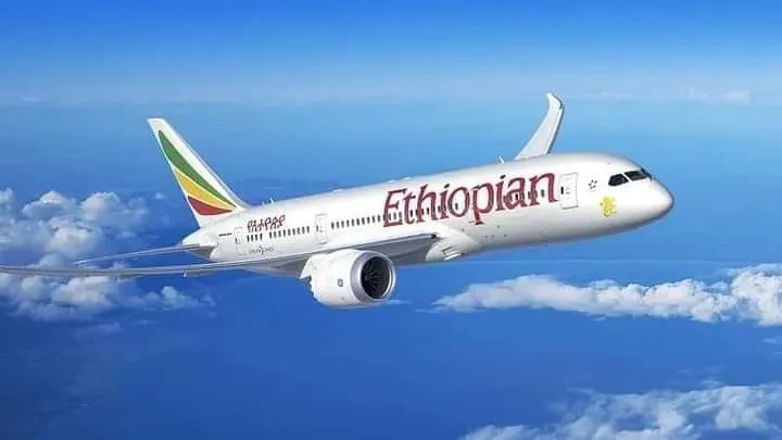 Éthiopie : les avions exposés à des tirs d’armes ? Le gouvernement dément