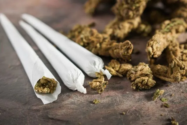 Gabon : deux dealers de cannabis interpellés