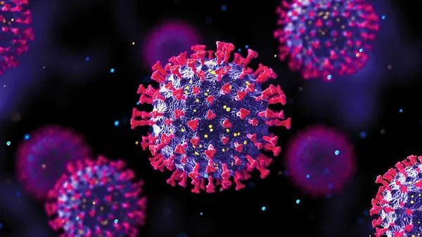 Illustration d'un virus du Covid-19
