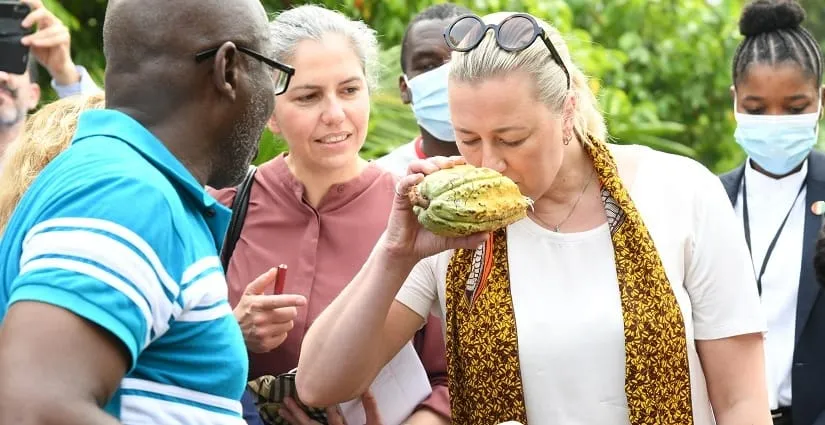 Cacao : la Côte d’Ivoire et le Ghana invitent l’industrie du chocolat au respect de leurs engagements au plus tard le 20 novembre