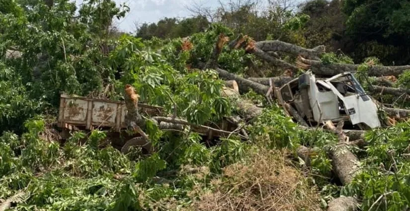 Gogoba : un fromager s’écrase sur un véhicule, un mort