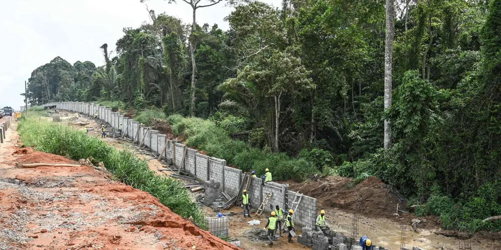 Parc national du Banco : quand notre la grande muraille de Chine s’installe à Abidjan