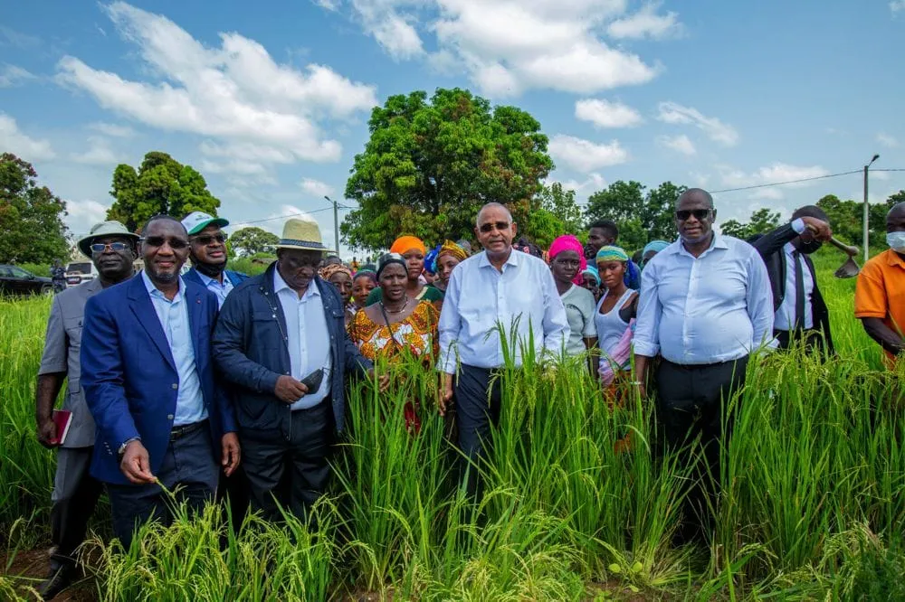 A’Salfo sur RFI : son plaidoyer pour l’agriculture ivoirienne