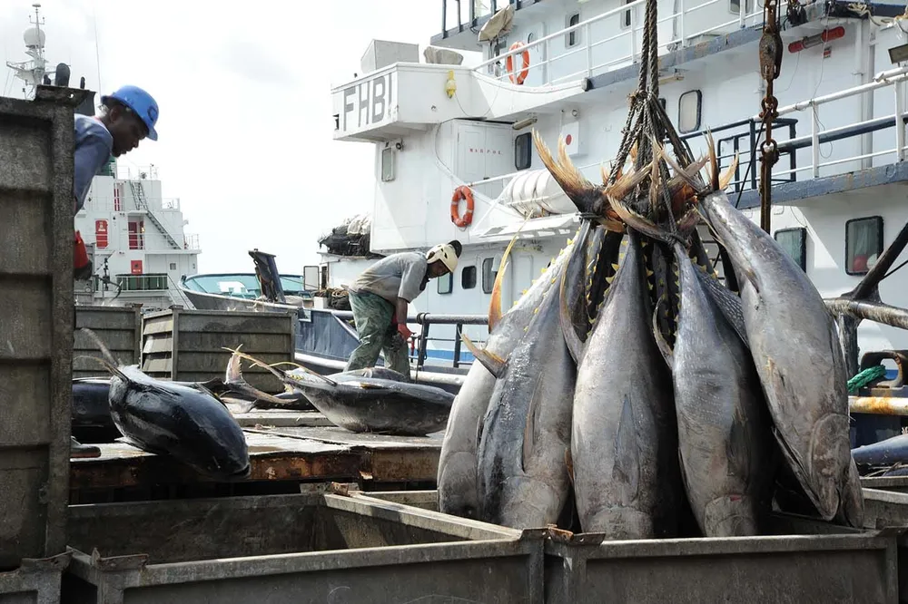 Pêches en Côte d'Ivoire