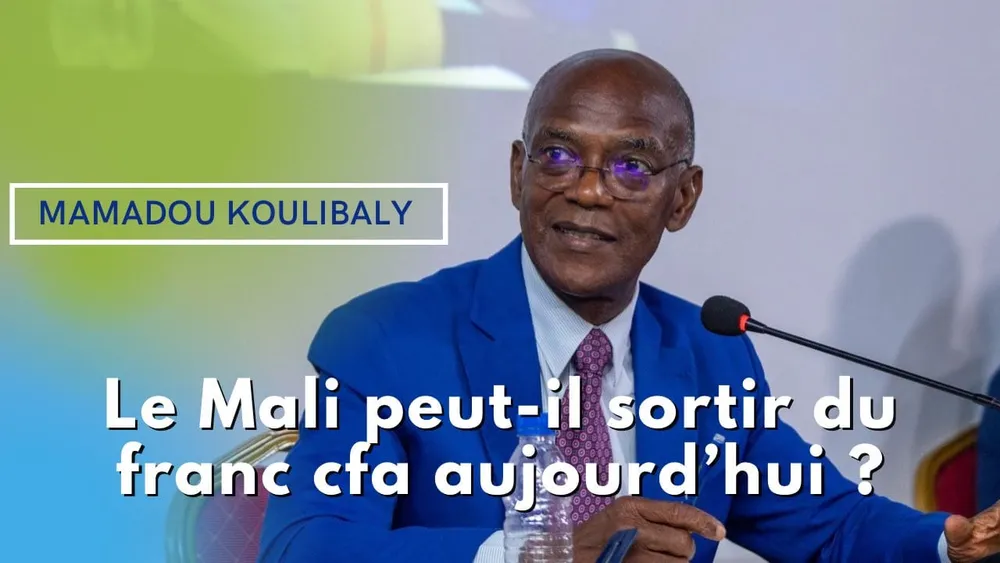 Le Mali peut-il sortir du franc CFA aujourd’hui ? Mamadou Koulibaly répond