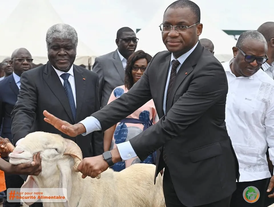 Tabaski 2022 en Côte d’Ivoire : plus de 70.000 moutons disponibles