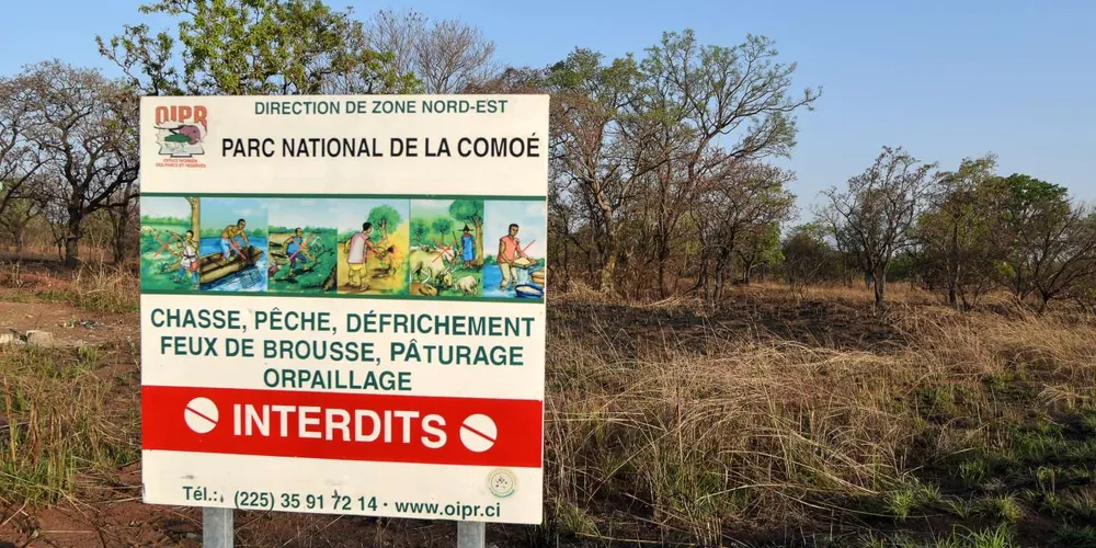 Parc de la Comoé: un braconnier abat six céphalophes et prend 12 mois de prison ferme