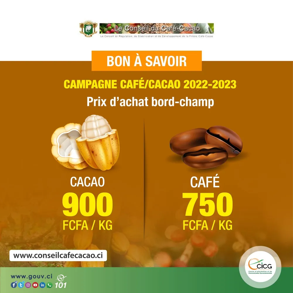 Campagne café/cacao 2022 – 2023: les prix d’achat bord champ dévoilés